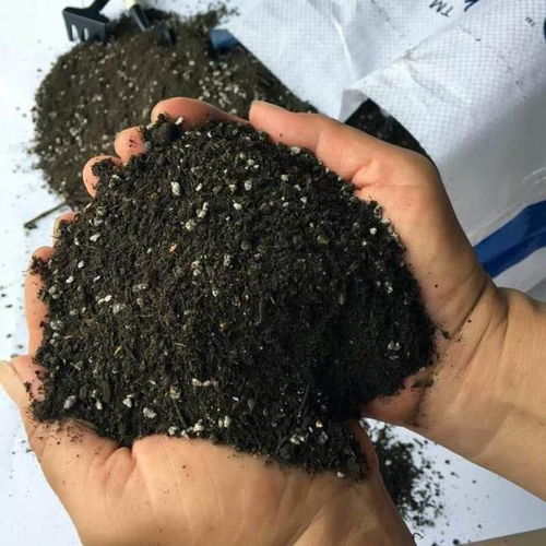 我们家庭养花使用过的营养土可以反复使用吗,为什么