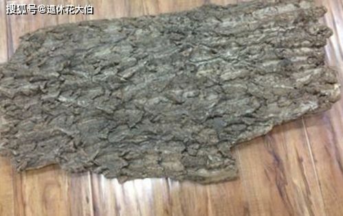 春天养花换盆土,不想掏钱买陶粒垫盆底,可以用这3样来代替