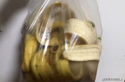 家庭自制磷钾肥,比磷酸二氢钾安全,肥力更丰富,促花 杠杠的