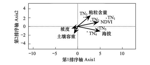 区县域尺度土壤全氮的空间分布格局分析