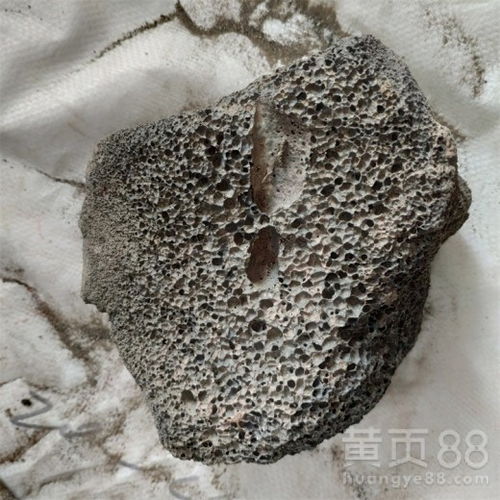【石家庄园艺花卉火山石颗粒火山石颗粒生产厂家】- 黄页88网