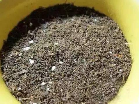 步骤