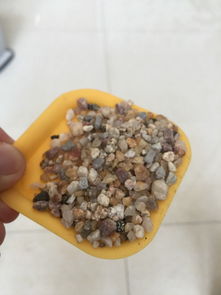 种多肉表面用这种小石子做表层可以吗 