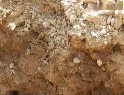 土壤恶化,怎么办 如何进行土壤改良