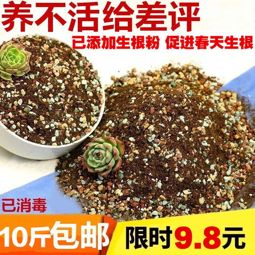 多肉植物营养土泥炭土多肉土叶插换盆土多肉专用土多肉颗粒土包邮