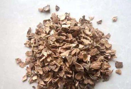 花生壳 核桃壳 桂圆壳别再丢了,简单一处理,全是养花肥