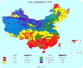 盐碱土 搜狗百科