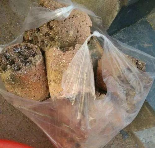 用不完的泥炭土怎么保存_泥炭土放几年还能用吗