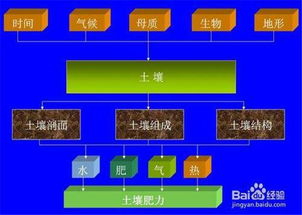 碳氢科学1200问之007组 从土壤物质到土壤成因