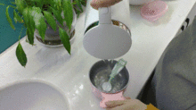 用开水烫过的土还有养分吗—开水烫过的土能栽