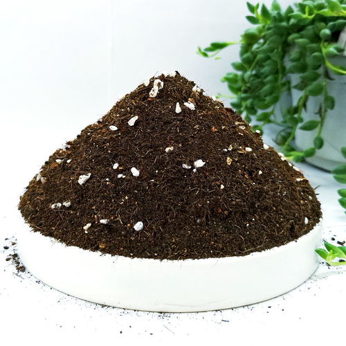 营养土通用种菜种花土绿萝多肉养花肥料盆栽花卉有机种植土壤泥土