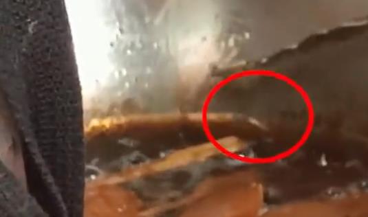 恶心 女子路边摊买煎饼发现满是蛆虫,摊主不以为然还称爱咋咋地