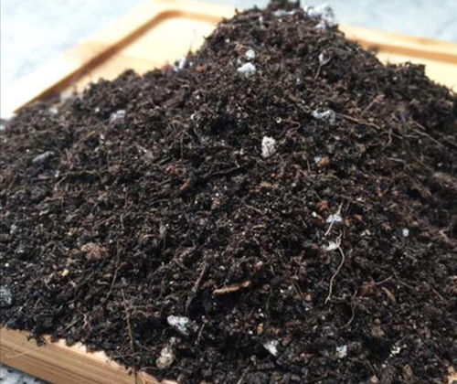 营养土不用花钱买,自己制作的 营养土 ,养啥花都旺