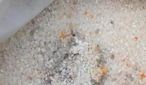 3种 吃食 变质 不能食用就养花用,按照方法处理是天然肥料