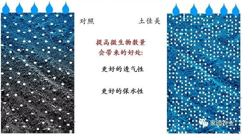 看看您的土壤还有菌吗 快来围观
