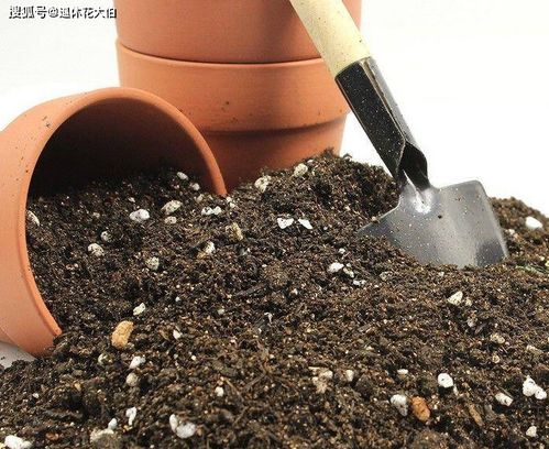 椰砖和营养土配比-椰砖与营养土怎样搭配使用种