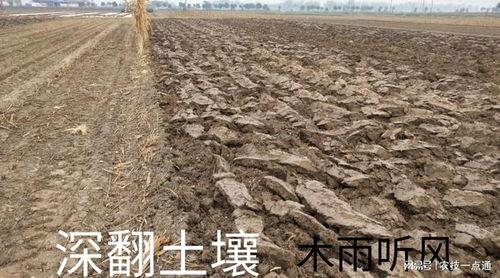 深翻地后,光照对土壤有什么作用 深翻土地的好处与缺点是什么
