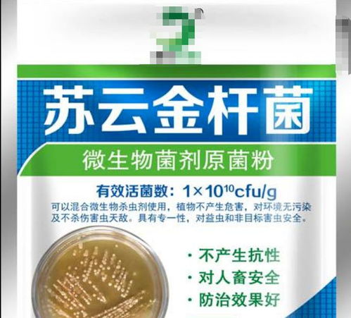 几个小技巧摆脱盆土里滋生的小黑飞,方法都很简单实用,易操作
