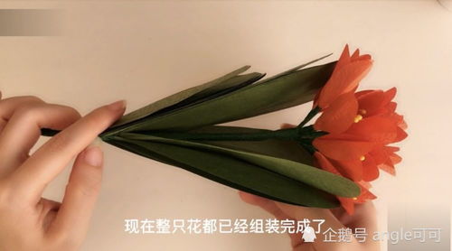 可可教你做手工,看小姐姐如何用一张纸做出既漂亮又环保的纸花君子兰