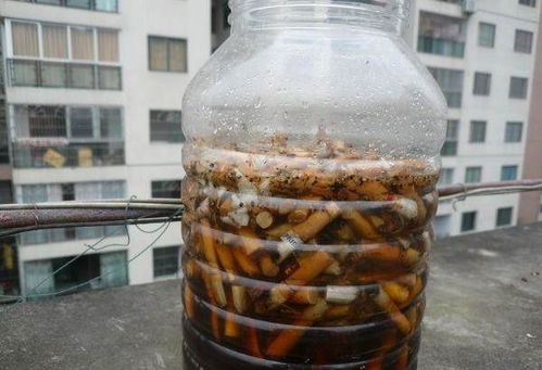 比起各种药片水,家里这两种灰不仅杀菌灭虫,还能补肥