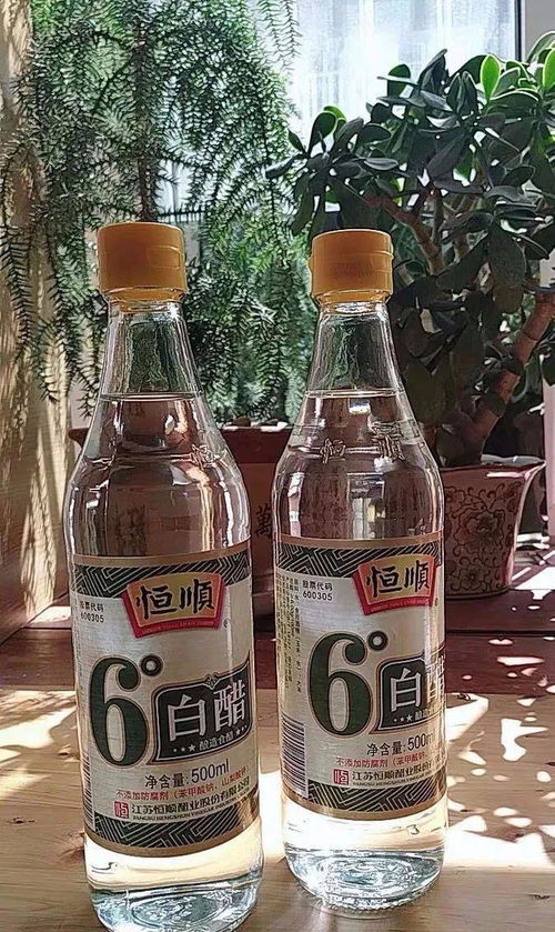 11月养花,常备这3种营养水,杀菌又防虫,花儿用了越长越精神 植株