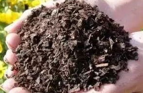 养花不买土,自己在家制作营养土,用这个养花,开花到爆