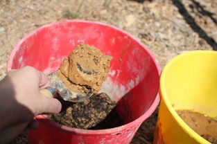 用泥土 绳子和植物做成空中盆栽