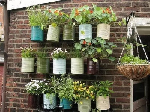 教你怎么给花卉做一个创意小屋