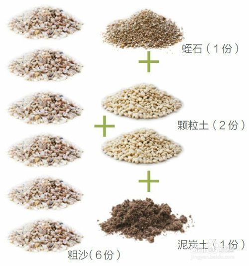 多肉植物的土壤配方