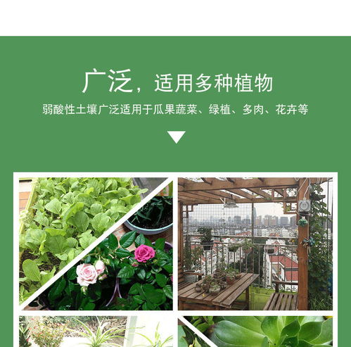 只用营养土养花可以吗—只用营养土种的活花吗