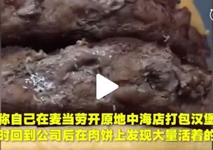 麦当劳汉堡里活蛆 客人表示 苍蝇都飞出来了