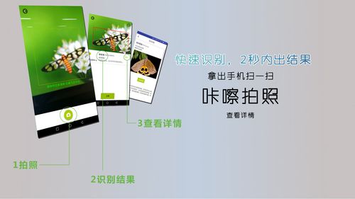昆虫识别APP 见虫 扫一扫识别病虫害