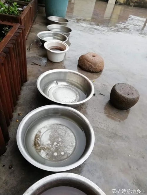 盆土硬成土疙瘩 别急,埋点这东西,立马软得像发糕