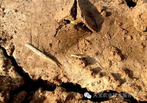 不了解你的地当然管不好了