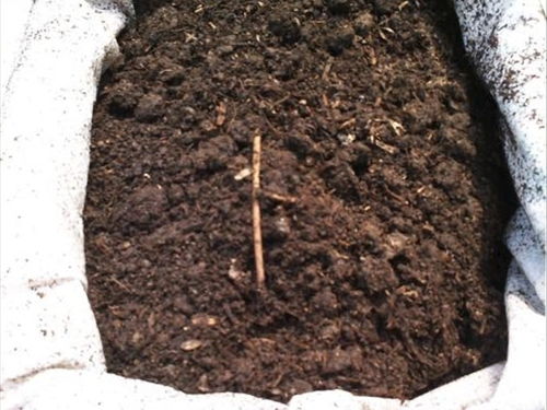 养花的过程中,营养土的作用很大,学着自己动手做营养土吧