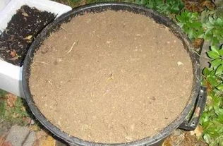 网上买的腐殖土能直接使用吗;腐殖土可以直接用