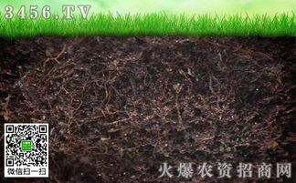 钙镁磷肥施用于酸性土壤好吗
