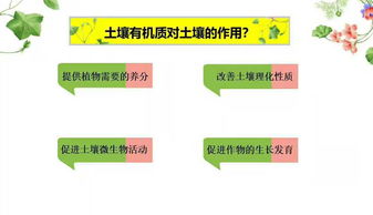 为什么要增加土壤有机质 如何增加
