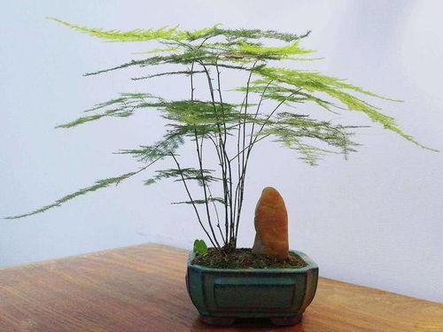 91岁老爷爷 人到中年,远离以下四种 缺德 朋友