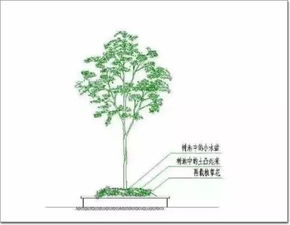 纸上谈兵 设计中的 失败案例 分享