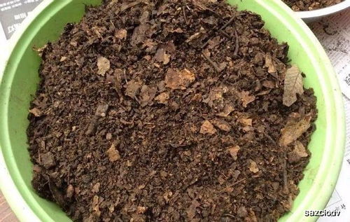 她养花就用这种土,花蹭蹭疯长,不到一个月就爆盆
