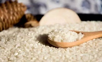 米袋生虫 发霉怎么办 这些简单的方法你值得收藏 