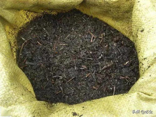 七个方法教你判断土壤的酸碱性