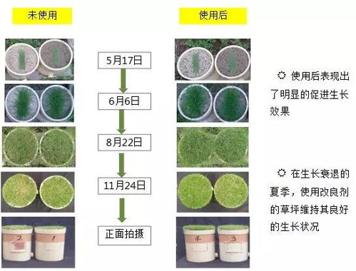 最天然 和谐的农业生产方式 自然法种植整体解决方案