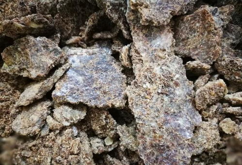 花生麸是果园之宝,如何发酵无臭味 用这个方法,不臭还发酵彻底
