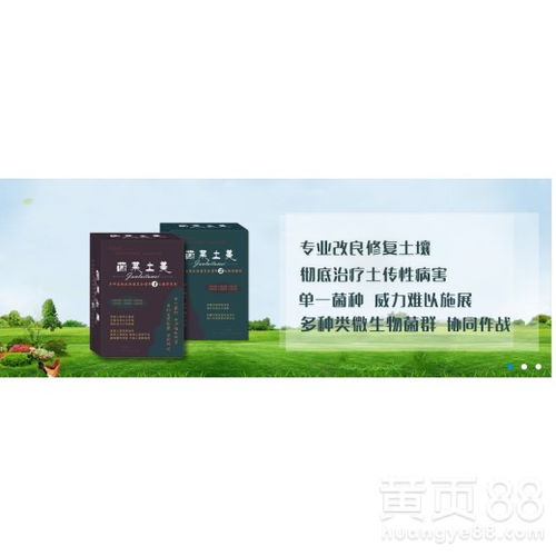 【黄精种植前种植后土壤杀菌消毒用什么药效果好】- 黄页88网
