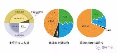 都说微生物肥料好 那么,微生物到底在土壤中干些啥