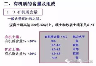 全面了解 土壤有机质