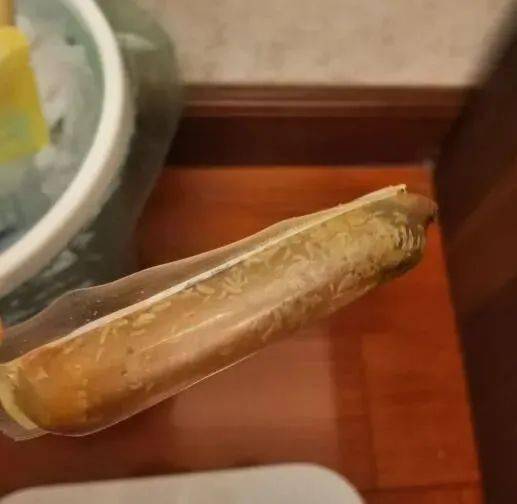 太恶心 某知名品牌鸡肉肠生蛆
