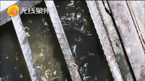 泉州 地下车库反复积水长达14年,积水原因至今是个谜